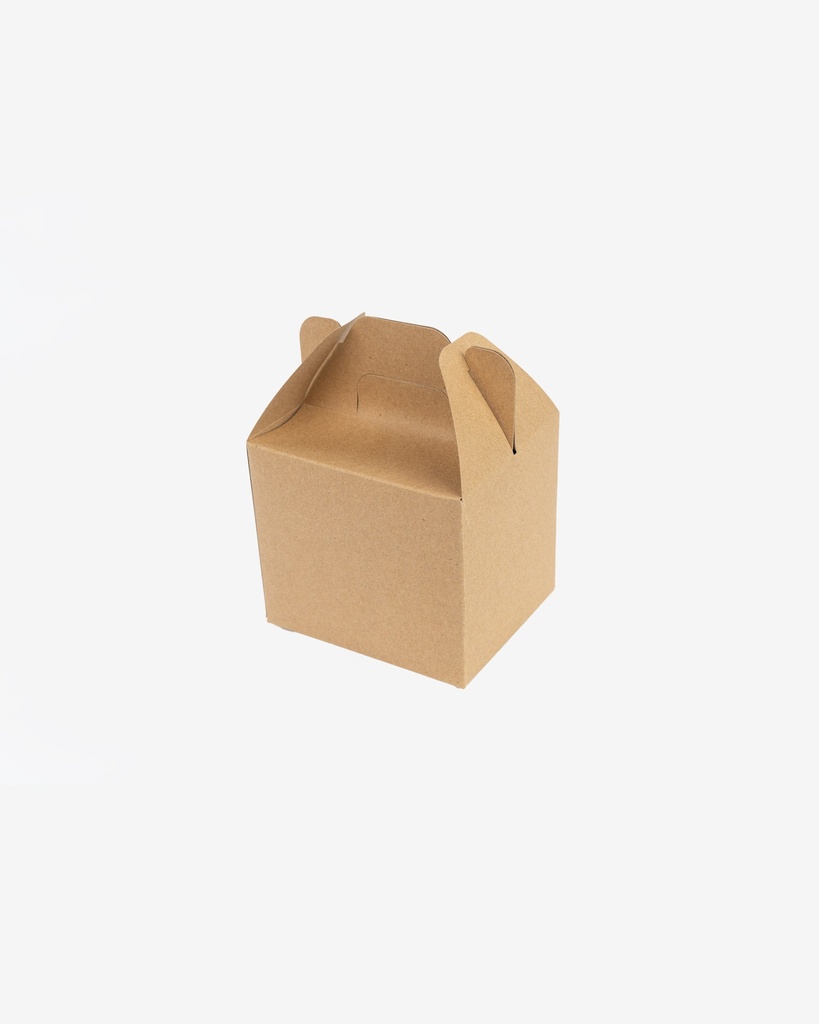 Kraft Takeaway Box 10pcs/pack