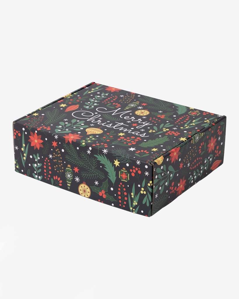 Mailing Box, Merry Christmas