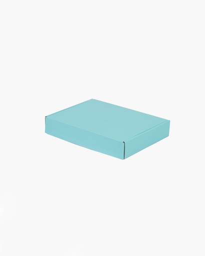 [CTNPM3023C] Blue Mailing Box